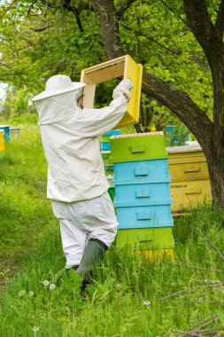  Onun arı kovanı Bahçe üzerinde arıcı
