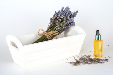 Natürmort Eflatun beyaz bir arka plan üzerinde