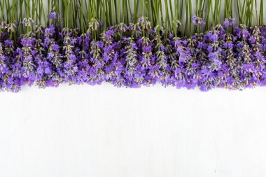 çerçeve Beyaz ahşap zemin üzerinde lavanta