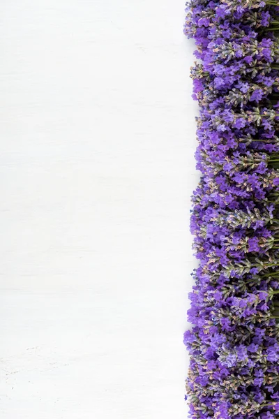 Frame of lavender on a white wooden background — Stock Photo, Image