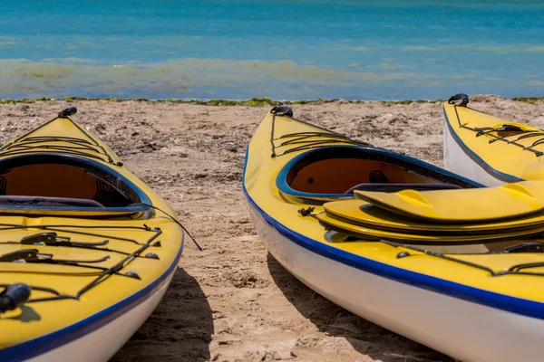 Colorful kayaks align the water — Stock Photo, Image