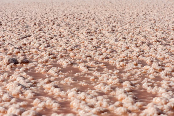 Formações de sal em um lago seco das salinas perto de Burgas, Bulgária, Europa Oriental — Fotografia de Stock
