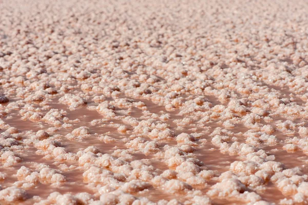 Сіль утворення з сушених озеро на соляний завод поблизу Бургас, Болгарія, Східна Європа — стокове фото
