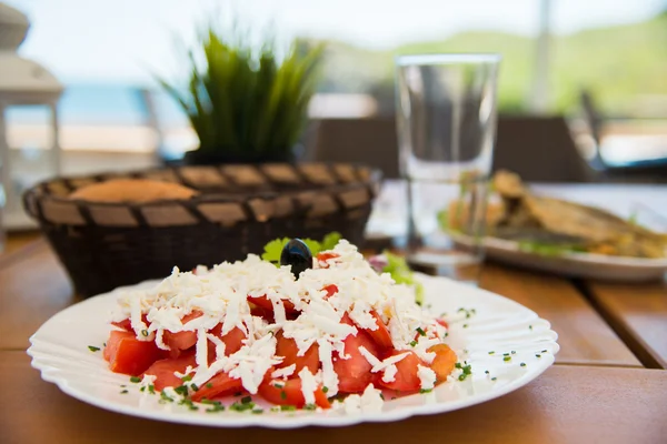 Bulgarischer Salat — Stockfoto