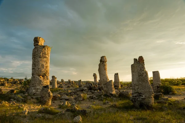 Pobiti kamani - phenomenon rock formations in Bulgaria near Varna — Stock Photo, Image