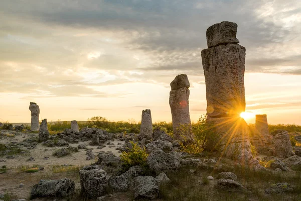 Pobiti kamani - phénomène formations rocheuses en Bulgarie près de Varna — Photo