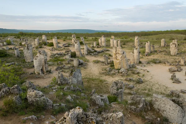 Pobiti kamani - phenomenon rock formations in Bulgaria near Varna — Stock Photo, Image