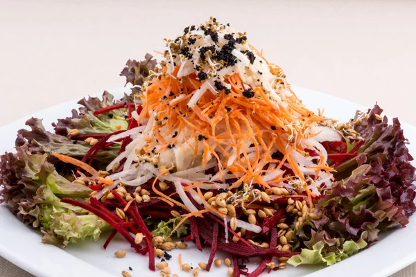 Vegan plantaardige salade — Stockfoto