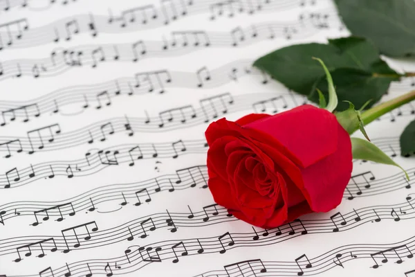 Roses and music sheets - selective focus — Stock Photo, Image