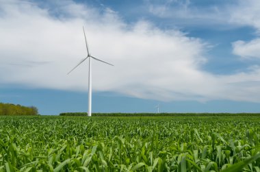 Elektrik üreten buğday ve rüzgar türbinleri yeşil alan