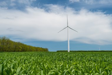 Elektrik üreten buğday ve rüzgar türbinleri yeşil alan