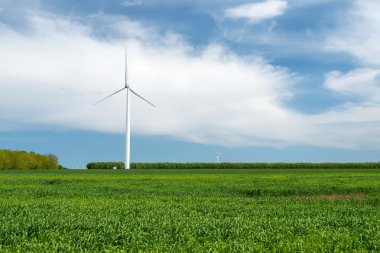 Elektrik üreten buğday ve rüzgar türbinleri yeşil alan