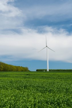 Elektrik üreten buğday ve rüzgar türbinleri yeşil alan