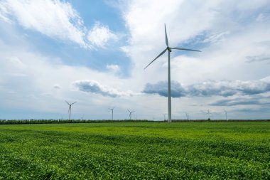 Elektrik üreten buğday ve rüzgar türbinleri yeşil alan
