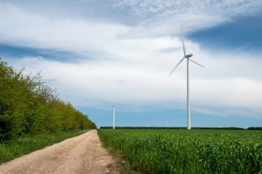 Elektrik üreten buğday ve rüzgar türbinleri yeşil alan