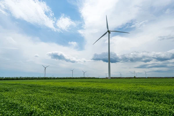 전기를 생성 하는 밀과 바람 터빈의 그린 필드 — 스톡 사진