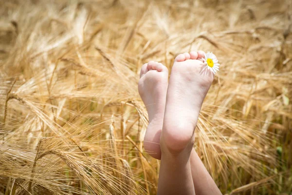 Children's barefoot in a field of barley — Stock Photo, Image