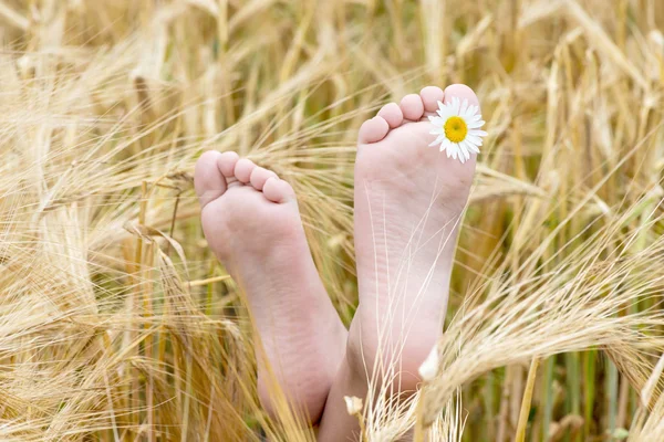 Children's barefoot in a field of barley — Stock Photo, Image