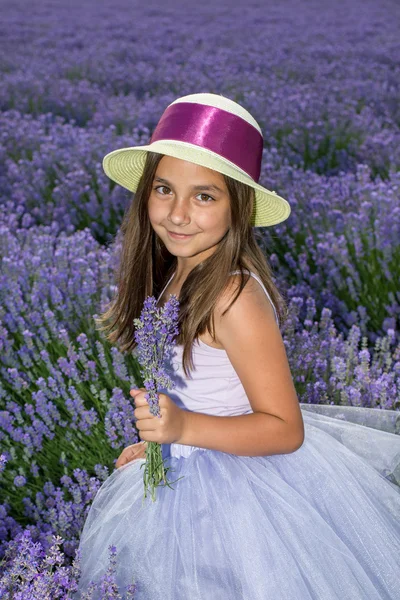 Liten flicka i ett fält av lavendel — Stockfoto