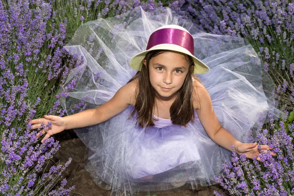 Klein meisje in een gebied van lavendel — Stockfoto