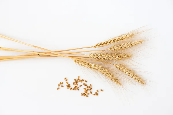 Stalks of wheat isolated on white — 图库照片