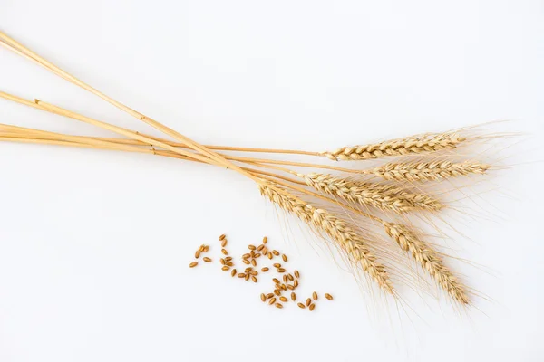 Stalks of wheat isolated on white — 图库照片