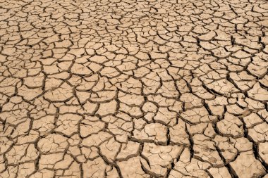 Drought cracked land clipart
