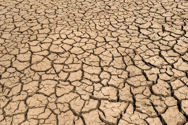 破解的干旱土地 — 图库照片