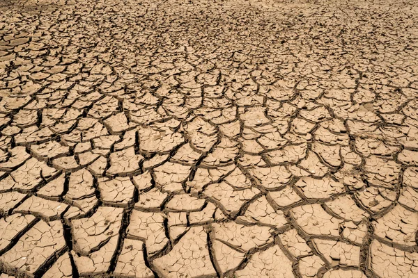 Drought cracked land — Stock Photo, Image