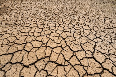 Kırık kuraklık arazi