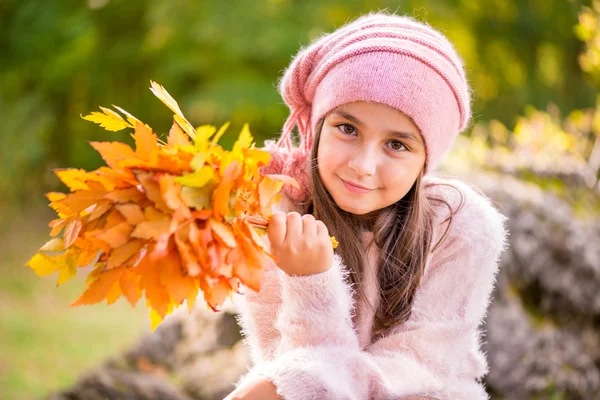 在户外在美丽的秋日的可爱小女孩 — 图库照片