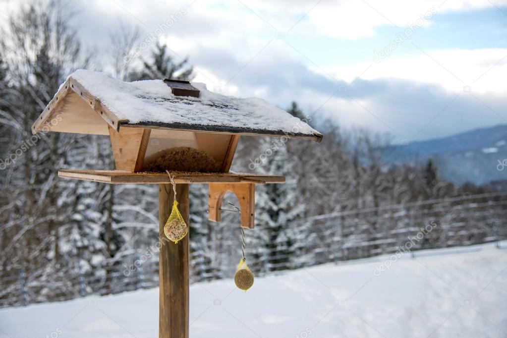 Bird feeder in winter park