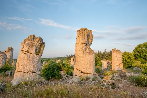 Pobiti kamani - fenomeno formazioni rocciose in Bulgaria vicino a Varna — Foto Stock