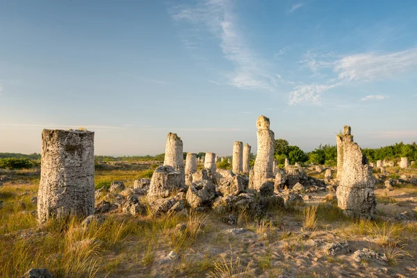 Pobiti kamani - phenomenon rock formations in Bulgaria near Varna — Stock Photo, Image