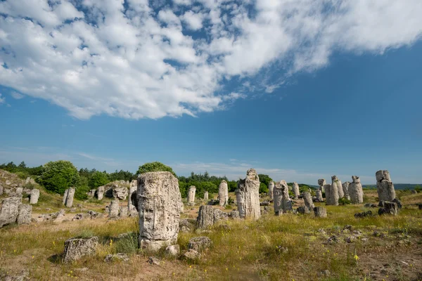 Pobiti kamani - phänomen felsformationen in bulgarien in der nähe von varna — Stockfoto