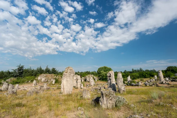 Побити камани - феноменальные скальные образования в Болгарии недалеко от Варны — стоковое фото