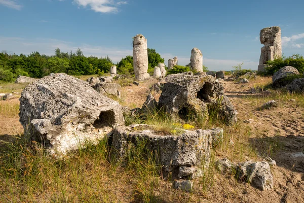 Pobiti kamani - Bulgaristan Varna yakınındaki fenomen kaya oluşumları