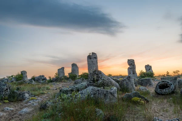 Pobiti kamani - phenomenon rock formations in Bulgaria near Varna — Stock Photo, Image