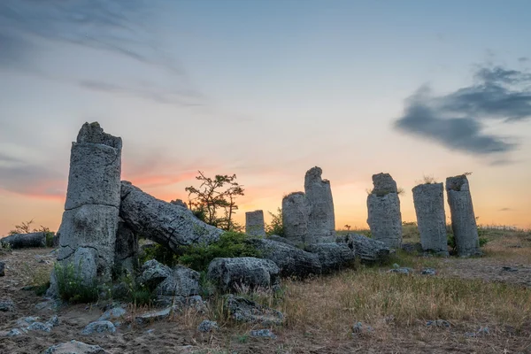 Pobiti kamani - phenomenon rock formations in Bulgaria near Varna — Stock Photo, Image