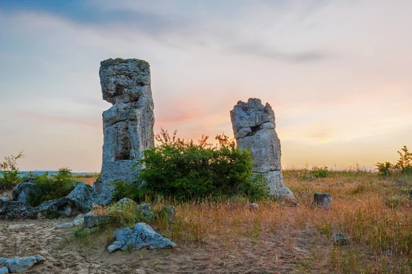 Pobiti kamani - phenomenon rock formations in Bulgaria near Varna — Stock Photo, Image