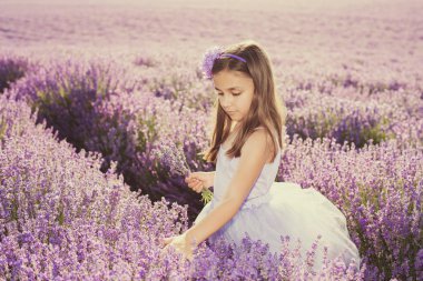 Lavanta bir alandaki küçük kız