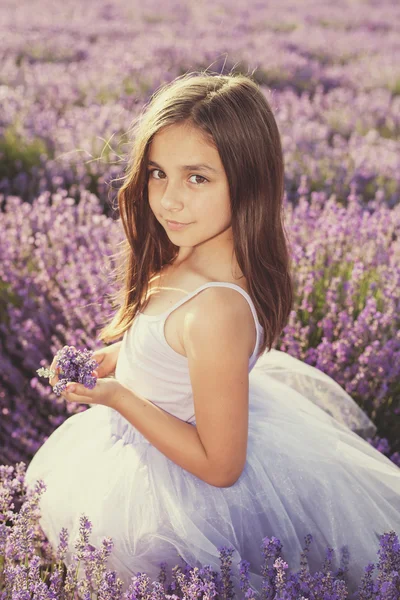 Liten flicka i ett fält av lavendel — Stockfoto