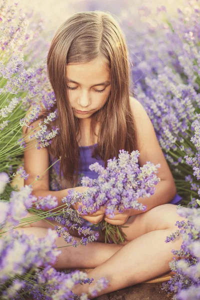 Little girl in a field of lavender — Stock Photo, Image