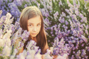 Lavanta bir alandaki küçük kız