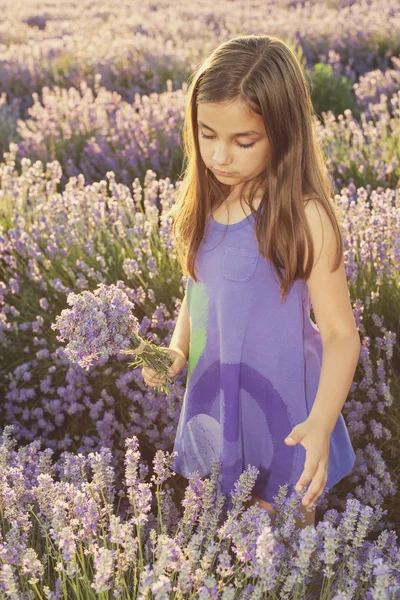 小女孩在一块薰衣草花田 — 图库照片