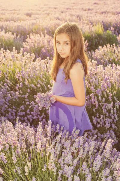 Menina em um campo de lavanda — Fotografia de Stock