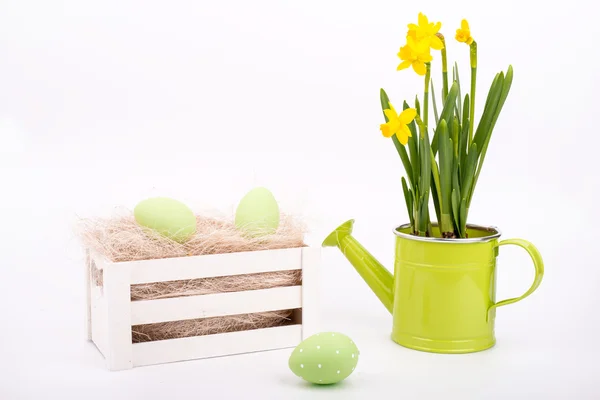 Easter eggs over white background — Stock Photo, Image