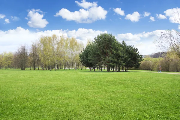 Wiosnę krajobraz trawa i drzewa — Zdjęcie stockowe
