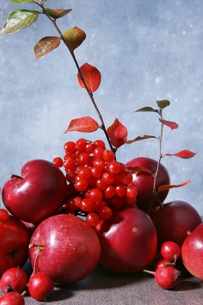 Stillleben Von Äpfeln Viburnum Und Weißdornbeeren Vor Blauem Hintergrund Zusammensetzung — Stockfoto