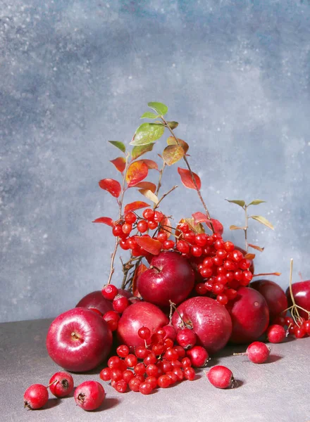 Stillleben Von Äpfeln Viburnum Und Weißdornbeeren Vor Blauem Hintergrund Zusammensetzung — Stockfoto